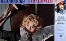 Dựng lại phim kinh dị The Birds của Alfred Hitchcock