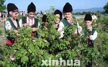 Festival hoa hồng ở Bulgaria