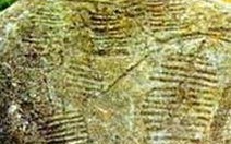 Bãi đá cổ Sa Pa: Cần có phương án bảo tồn cấp thiết