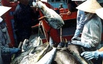 Phú Yên: Lần đầu tiên tổ chức lễ hội cá ngừ đại dương