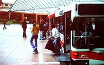 TP.HCM: Xe buýt vẫn từ chối người khuyết tật