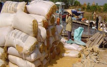 Mỗi ngày nhập 5.000 tấn lúa từ Campuchia
