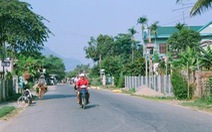 Săn kỳ nam "chuyên nghiệp"