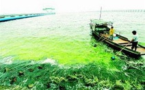 Trung Quốc: du lịch làm ô nhiễm sông hồ