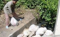 Đà Nẵng: chặn dòng nước thải của Khu công nghiệp An Đồn