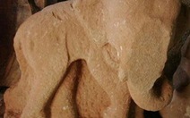 Quảng Nam: Phát hiện tượng cổ bằng sa thạch