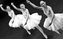 Ballet và các tiết mục múa đương đại