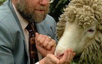 "Cha đẻ" cừu Dolly từ bỏ kỹ thuật sinh sản vô tính