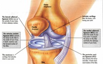 Sưng phù đầu gối ở người lớn tuổi