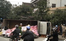 Nghệ An: xe tải đâm cột điện, hơn 600 điện thoại mất liên lạc