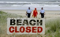 Úc: đóng cửa một bãi tắm vì cá mập tấn công người