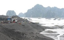 Quảng Ninh: sẽ cấp lại khoảng 60 giấy phép khai thác than