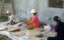 Tráng chiếc bánh tráng có đường kính 3,2 m chào mừng Festival Tây Sơn - Bình Định