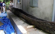 Thuyền độc mộc làm bằng gỗ mun