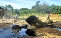 Quảng Bình: khởi công khu du lịch nghỉ dưỡng suối nước nóng Bang