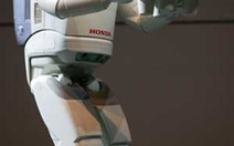 Chùm ảnh robot dự triển lãm robot Nhật Bản 2008