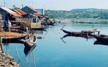 Phú Yên: Môi trường đầm Ô Loan suy thoái trầm trọng