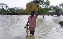 Ấn Độ, Bangladesh: Hơn 200 người thiệt mạng do bão Aila