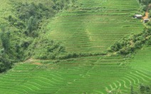 Kỳ vĩ ruộng bậc thang Sa Pa