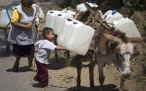 Mexico trị lãng phí nước