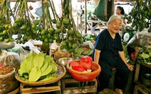 Ngoại tôi