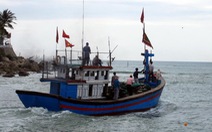 Hàng trăm tàu Quảng Ngãi ra khơi ngày đầu năm