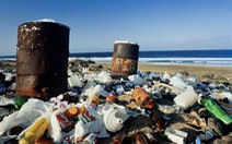 Bãi rác khổng lồ ở Đại Tây Dương