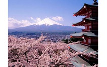 Sắp không còn "tuyết trường sinh" trên núi Phú Sĩ?