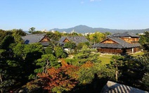 Thăm thành cổ Nijo ở Kyoto