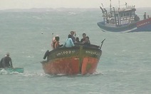 Quảng Ngãi: xử phạt 2 chủ tàu cá chống lệnh 10 triệu đồng