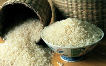 Cảnh báo gạo làm từ… nhựa
