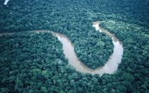 Dự án thủy điện trên sông Amazon được tiếp tục