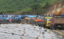 Hyundai-Vinashin lại thải hạt nix: Yêu cầu Khánh Hòa báo cáo