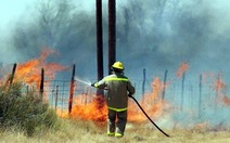 Mỹ: cháy rừng vượt tầm kiểm soát
