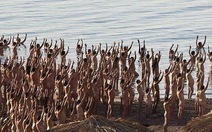 1.000 người khỏa thân bên biển Chết