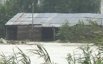 Quảng Bình: Hơn 1.000 nhà dân bị ngập lũ