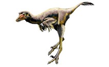 Tìm thấy hóa thạch của loài khủng long mới
