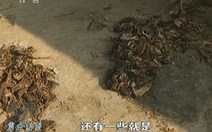 Trung Quốc: bắt giữ hơn 100 người làm dầu ăn bẩn