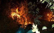 Sét đánh gây cháy rừng ở Đà Nẵng