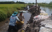 Nước sông dâng cao, hơn 5.000ha lúa bị ngập
