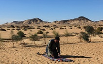 Trên sa mạc Sahara