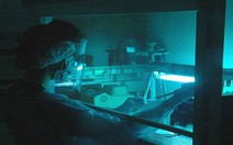 Hoàn chỉnh "chân dung" cô gái 50.000 năm tuổi