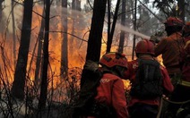Cháy rừng, Bồ Đào Nha cầu cứu EU