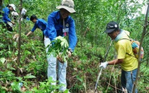 Tình nguyện viên Việt - Nhật trồng rừng giao lưu