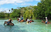 Động đất mạnh rung chuyển Vanuatu