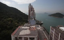 Hong Kong: 15.000 vây cá mập trên sân thượng nhà máy!