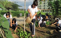 Vườn rau sinh viên