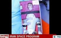 Iran đưa khỉ lên vũ trụ, phương Tây lo ngại