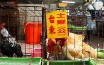 Trung Quốc sản xuất vắc xin chống virus H7N9