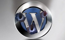 Máy chủ web dùng WordPress bị tấn công hàng loạt